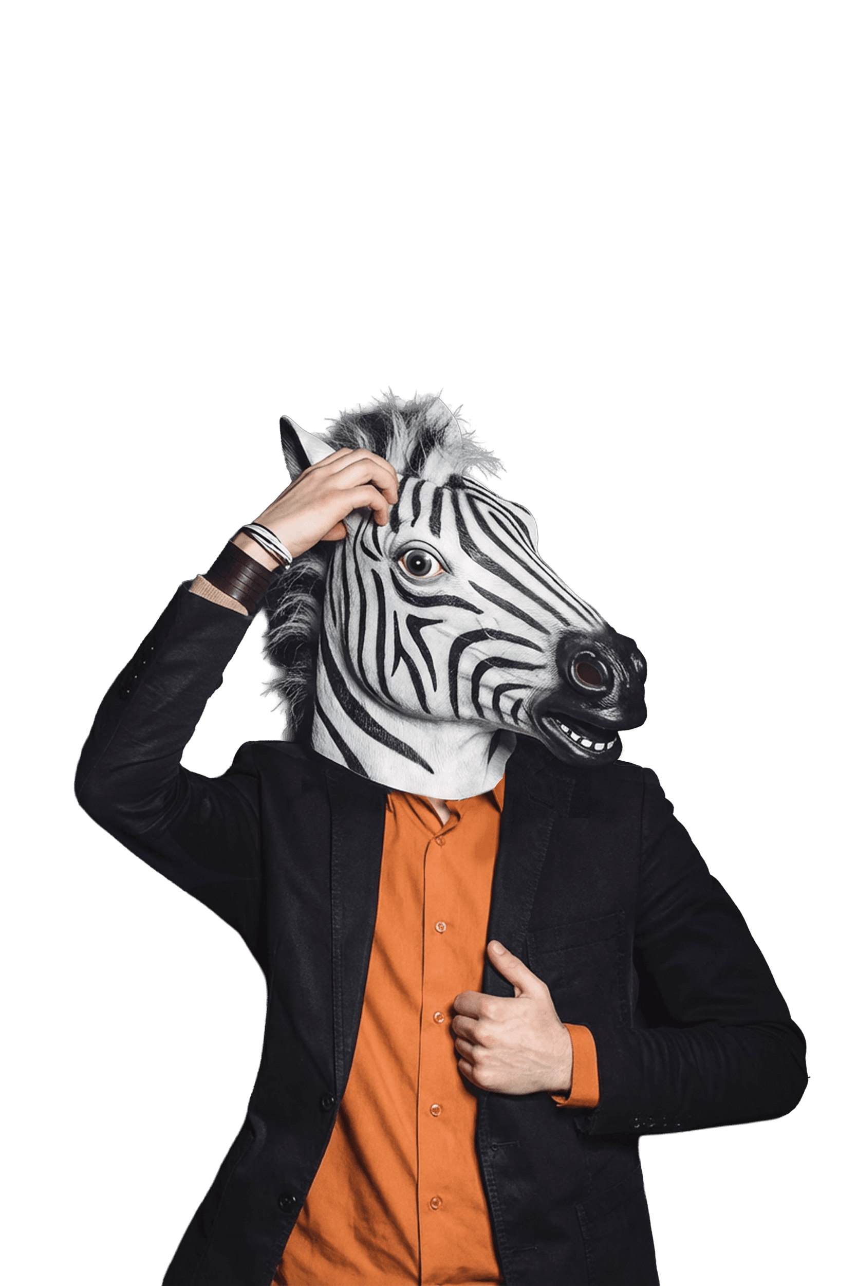 Personne avec masque de zèbre